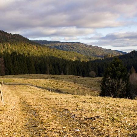 Gemütliche Ferienwohnung - Mitten im Schwarzwald Bernau im Schwarzwald Exterior foto