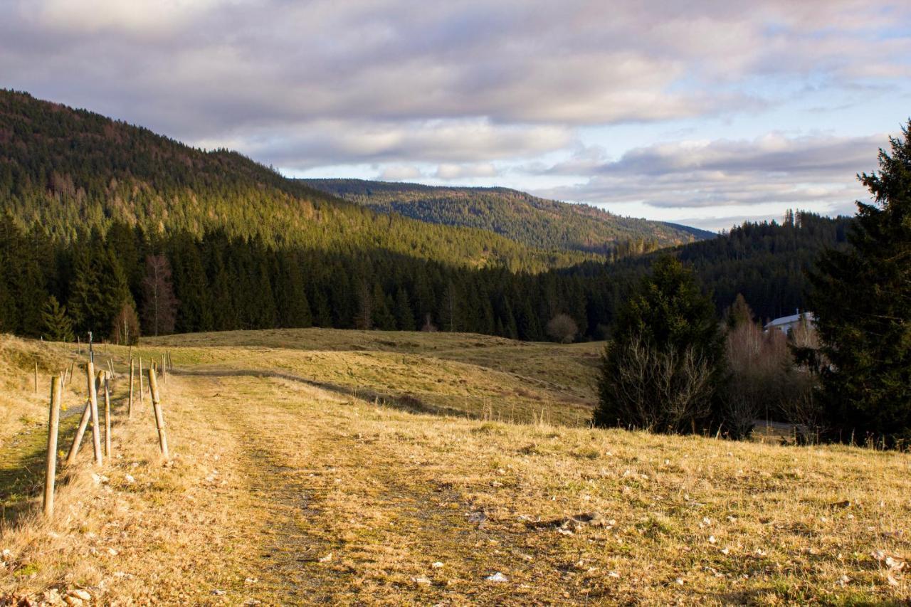 Gemütliche Ferienwohnung - Mitten im Schwarzwald Bernau im Schwarzwald Exterior foto