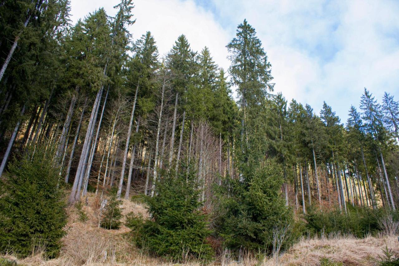 Gemütliche Ferienwohnung - Mitten im Schwarzwald Bernau im Schwarzwald Exterior foto