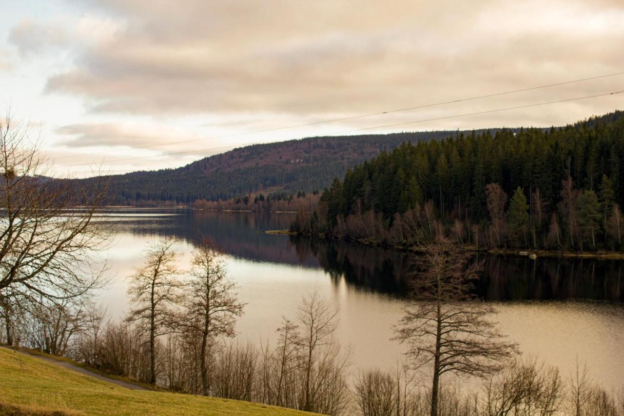 Gemütliche Ferienwohnung - Mitten im Schwarzwald Bernau im Schwarzwald Exterior foto